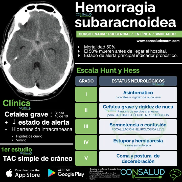 Muestra de material de estudio Consalud 1