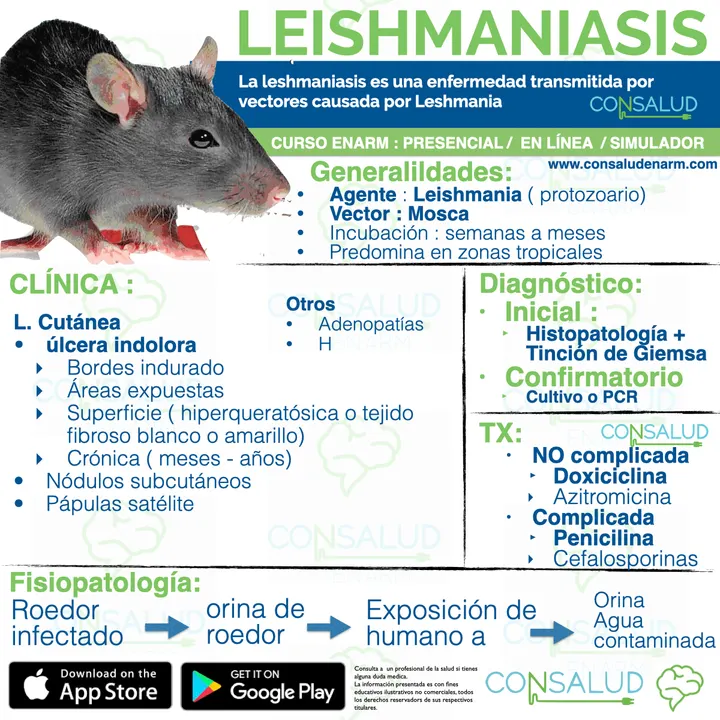 Ultra resumen o flashcard Consalud 16