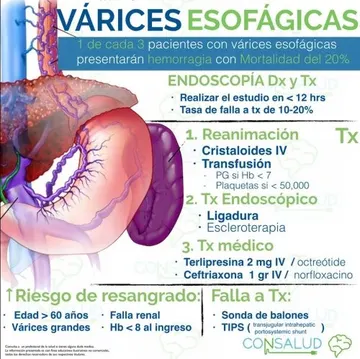 Ultra resumen o flashcard Consalud 14