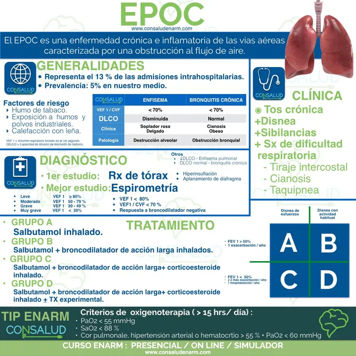 Ultra resumen o flashcard Consalud 2
