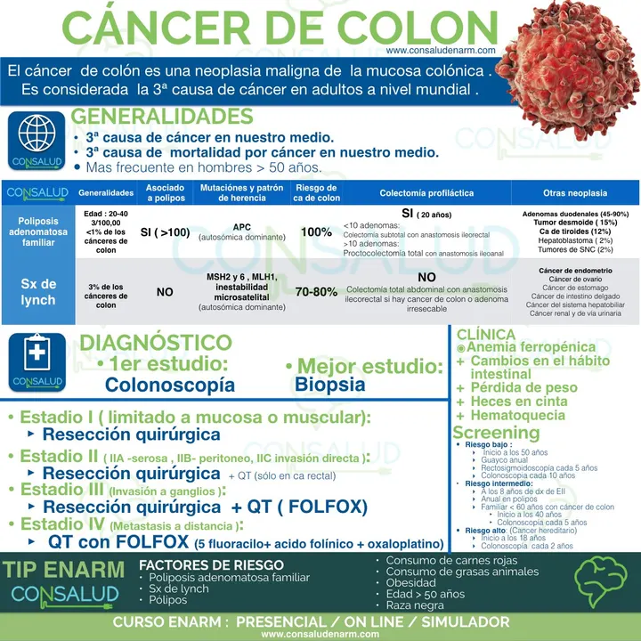 Ultra resumen o flashcard Consalud 4
